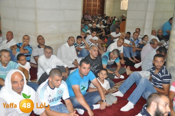 bazsalah lud 712 (67).JPG